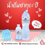 รับทำแบรนด์น้ำดื่มศรีณรงค์